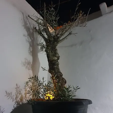 Casa Delaluz Ferienhaus