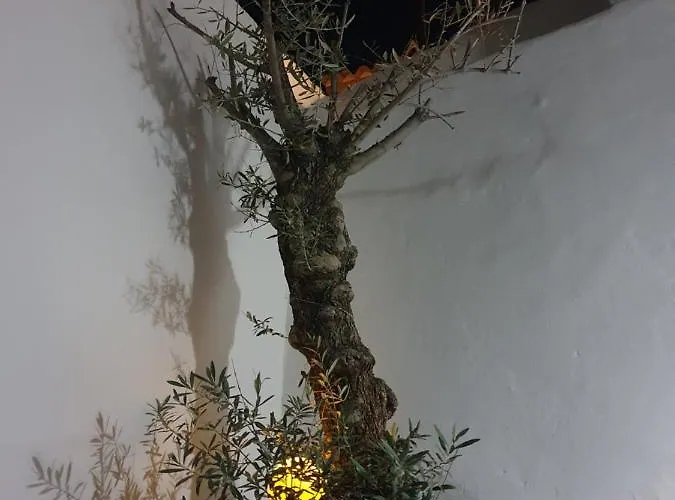 Casa Delaluz Tatil Evi