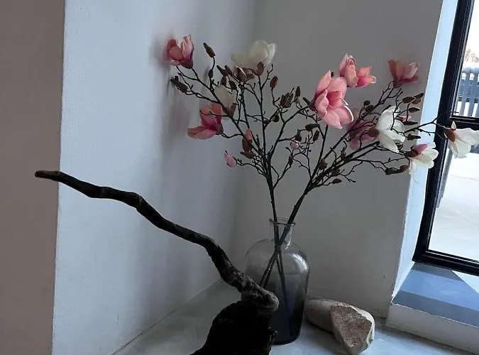 Tatil Evi Casa Delaluz *